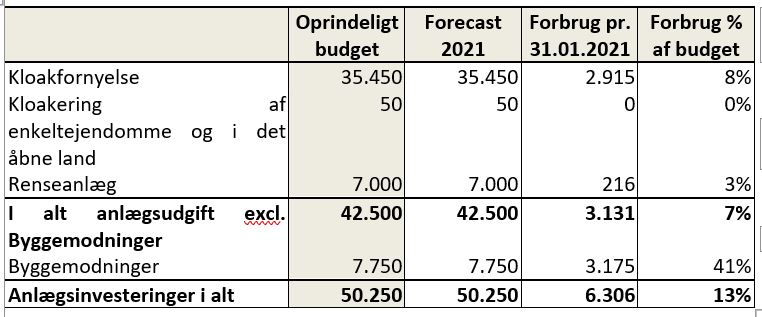 Tabel med fordelingen af typer af anlægsinvesteringer 